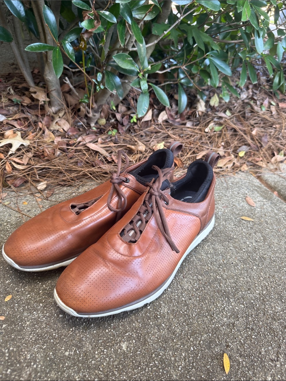 Men's Casual Brown Perforated Leather Sneakers